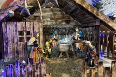 IMG_7782
