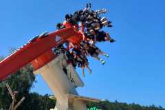 IMG-20250624-WA0014